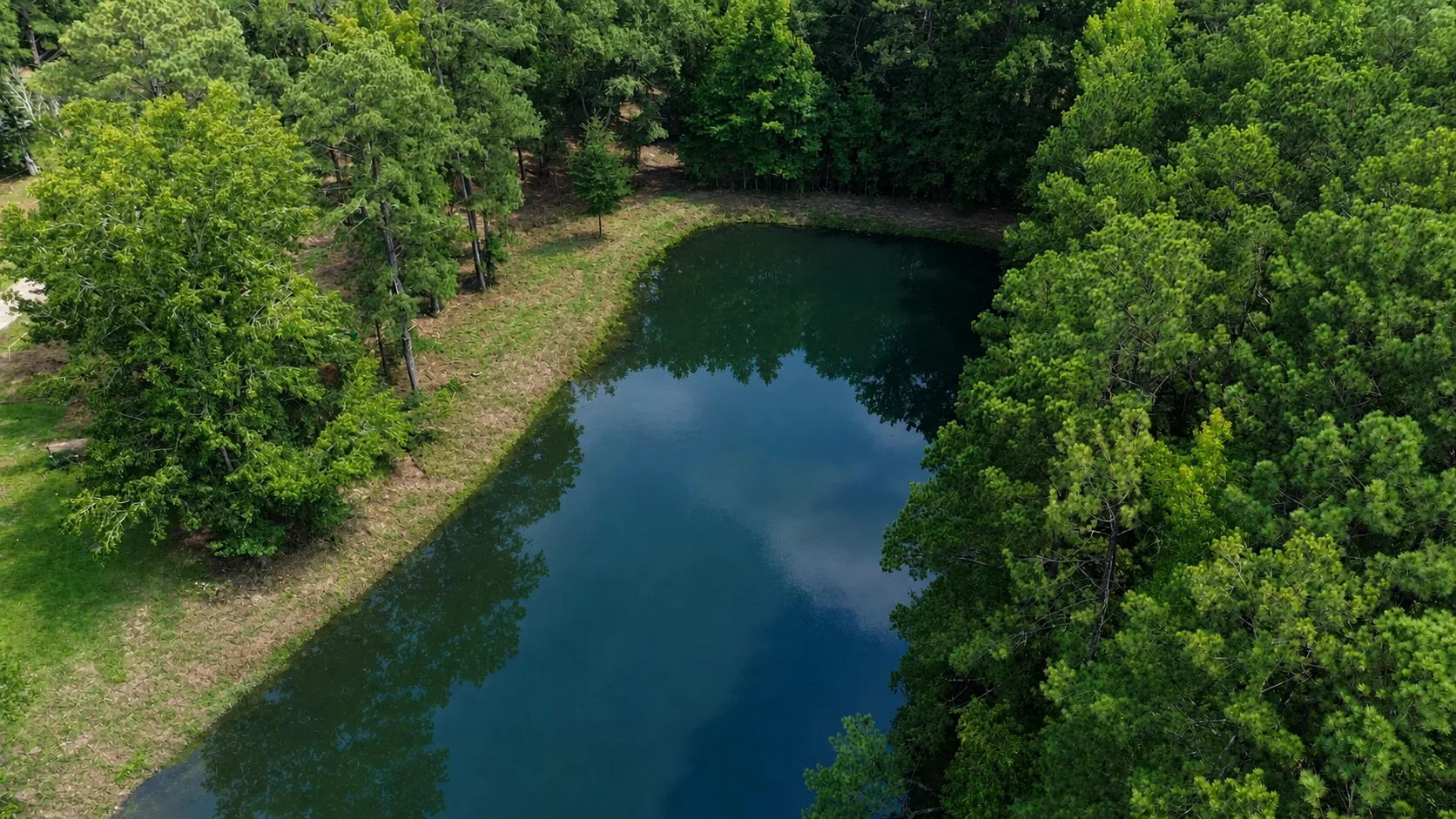 Aerial view of the campground pond surrounded by trees