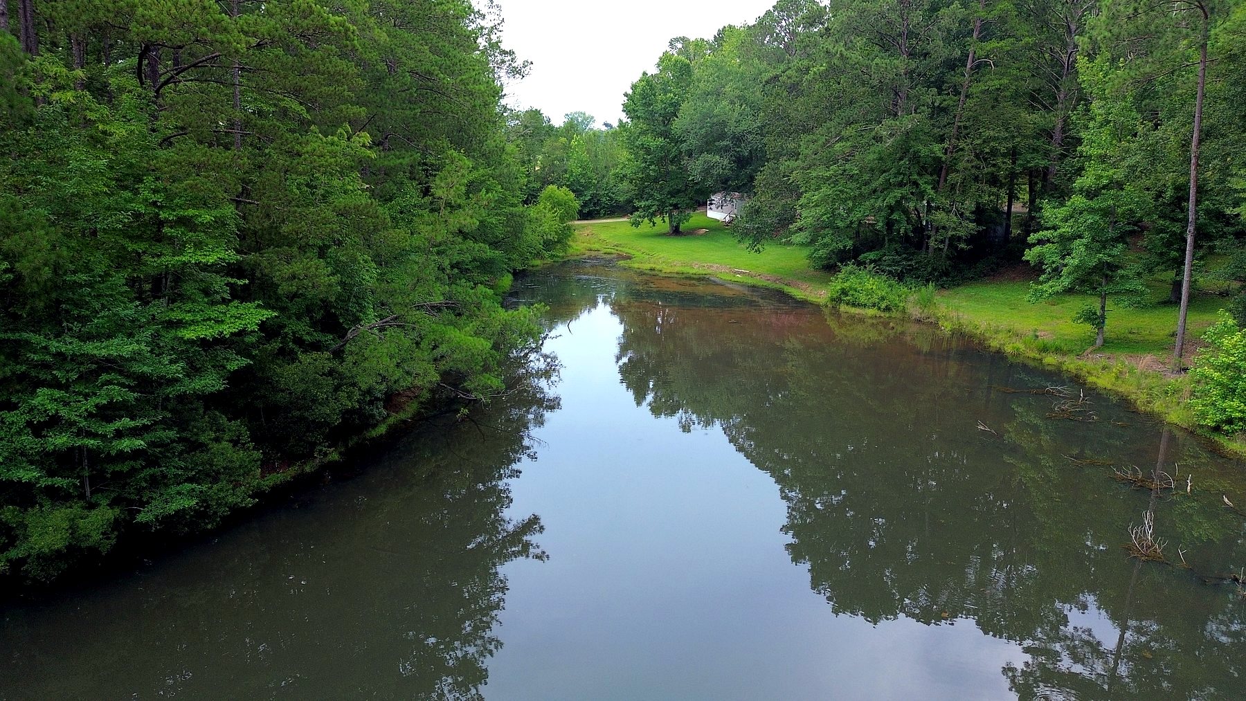 Pond bordered by trees at The Retreat at Lake Martin