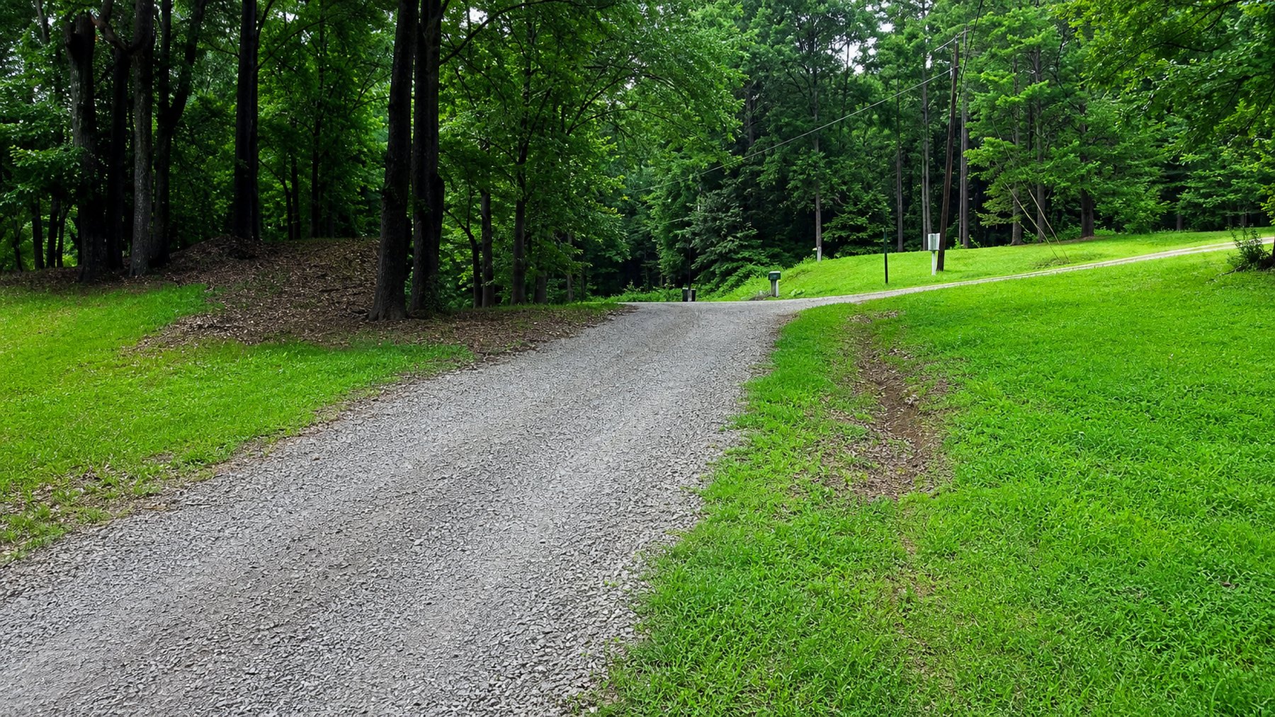 Wooded gravel drive on the campground property