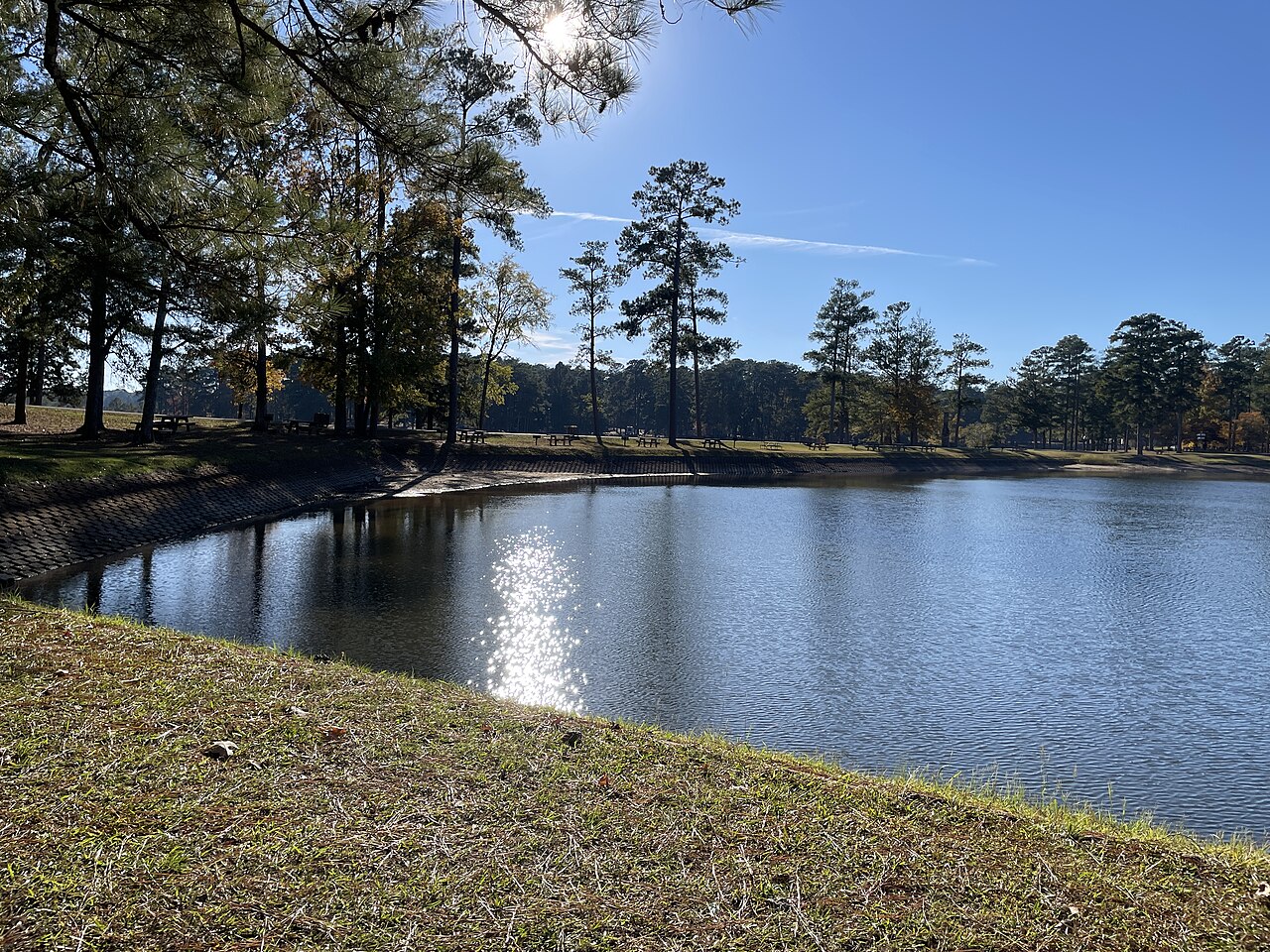 Sunny Lake Martin shoreline at Wind Creek State Park